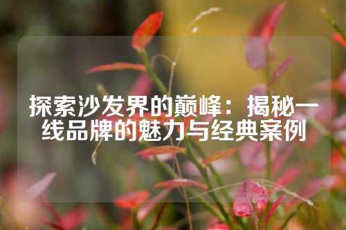 探索沙发界的巅峰：揭秘一线品牌的魅力与经典案例