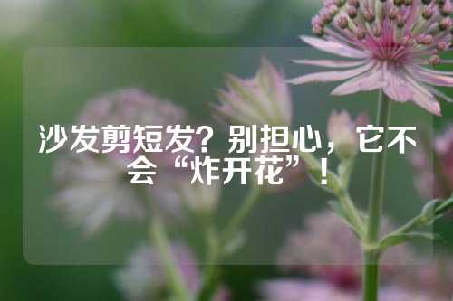 沙发剪短发？别担心，它不会“炸开花”！