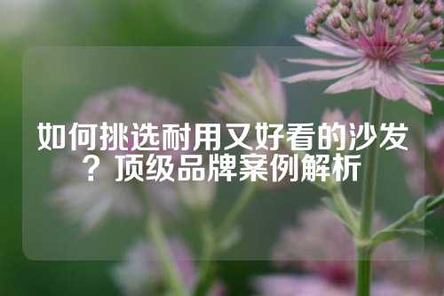 如何挑选耐用又好看的沙发？顶级品牌案例解析