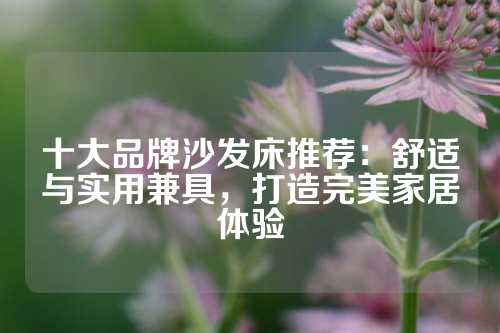 十大品牌沙发床推荐：舒适与实用兼具，打造完美家居体验