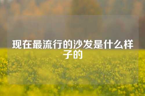 现在最流行的沙发是什么样子的