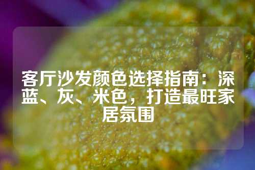 客厅沙发颜色选择指南：深蓝、灰、米色，打造最旺家居氛围