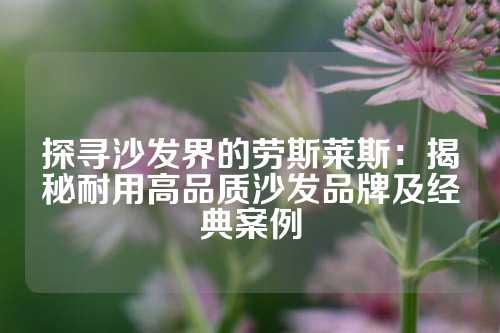 探寻沙发界的劳斯莱斯：揭秘耐用高品质沙发品牌及经典案例