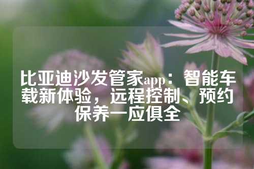 比亚迪沙发管家app：智能车载新体验，远程控制、预约保养一应俱全