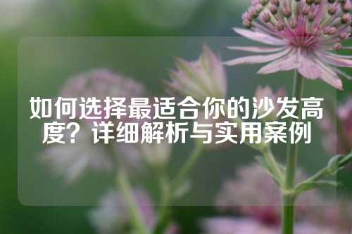 如何选择最适合你的沙发高度？详细解析与实用案例