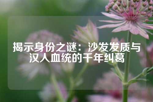 揭示身份之谜：沙发发质与汉人血统的千年纠葛