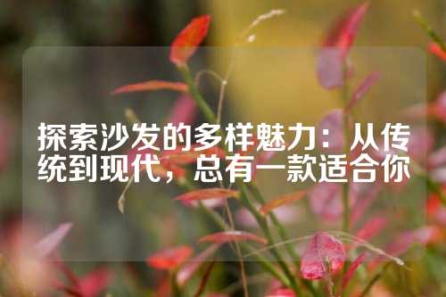 探索沙发的多样魅力:从传统到现代,总有一款适合你