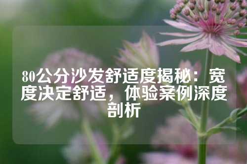 80公分沙发舒适度揭秘:宽度决定舒适,体验案例深度剖析
