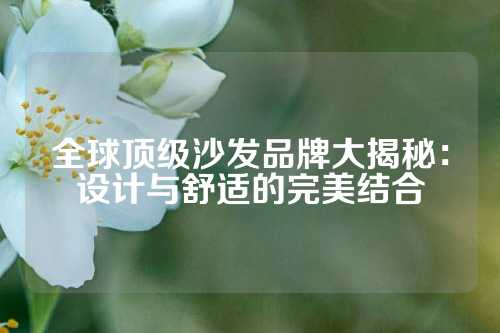 全球顶级沙发品牌大揭秘：设计与舒适的完美结合