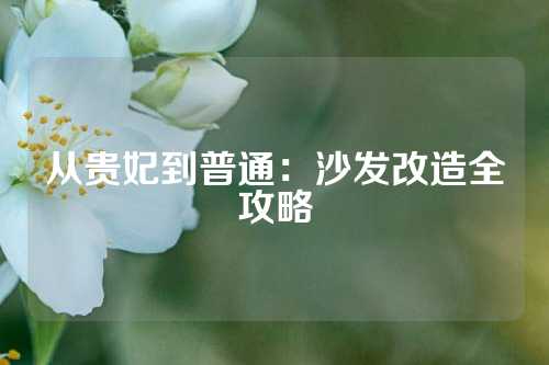 从贵妃到普通:沙发改造全攻略