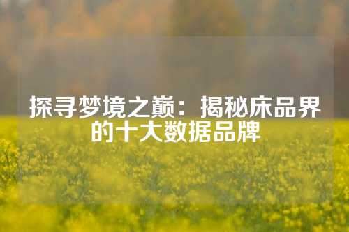 探寻梦境之巅：揭秘床品界的十大数据品牌