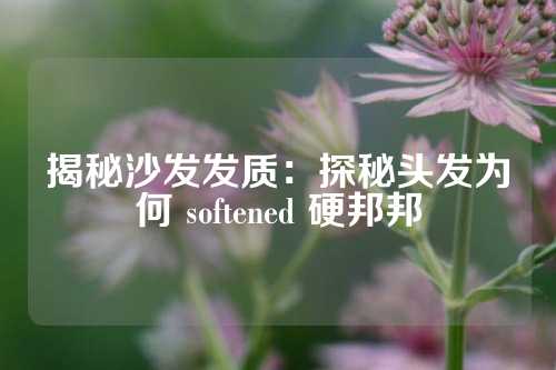 揭秘沙发发质：探秘头发为何 softened 硬邦邦