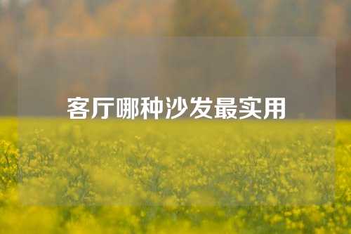 客厅哪种沙发最实用