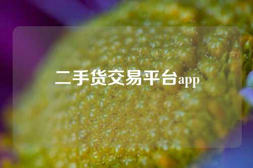 二手货交易平台app