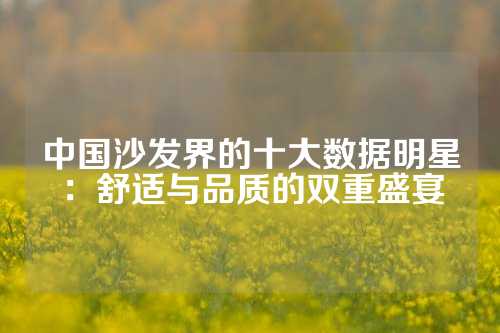 中国沙发界的十大数据明星：舒适与品质的双重盛宴