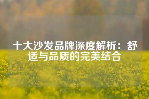 十大沙发品牌深度解析：舒适与品质的完美结合
