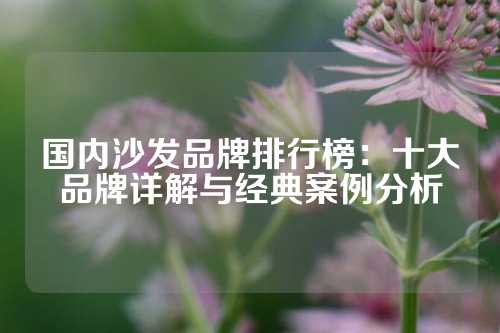 国内沙发品牌排行榜：十大品牌详解与经典案例分析