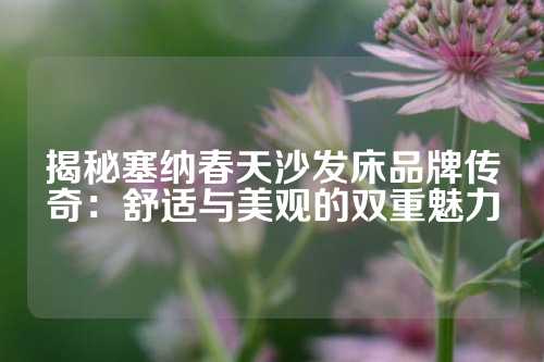 揭秘塞纳春天沙发床品牌传奇：舒适与美观的双重魅力