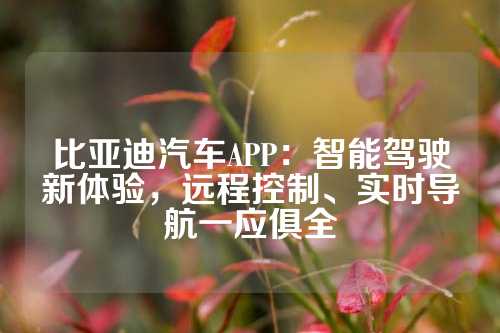 比亚迪汽车APP：智能驾驶新体验，远程控制、实时导航一应俱全