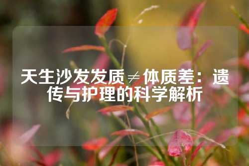 天生沙发发质≠体质差：遗传与护理的科学解析