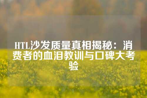 HTL沙发质量真相揭秘：消费者的血泪教训与口碑大考验