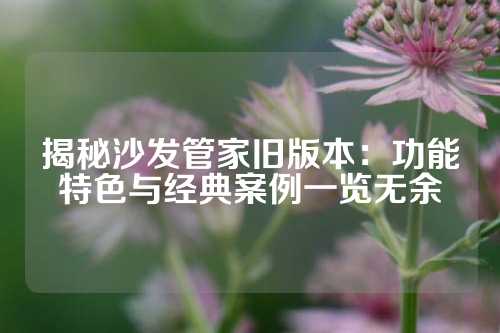 揭秘沙发管家旧版本：功能特色与经典案例一览无余