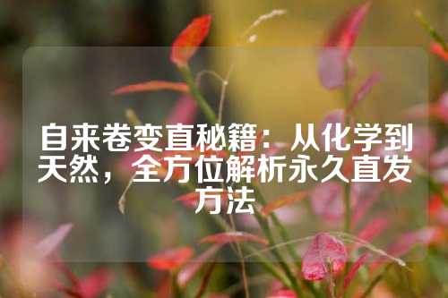 自来卷变直秘籍：从化学到天然，全方位解析永久直发方法