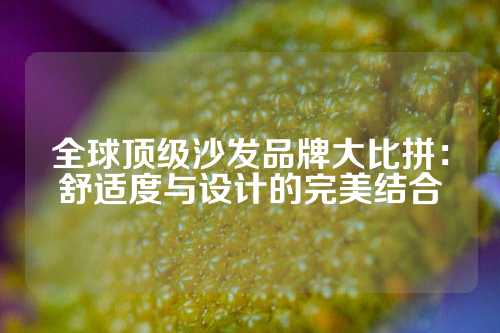 全球顶级沙发品牌大比拼：舒适度与设计的完美结合