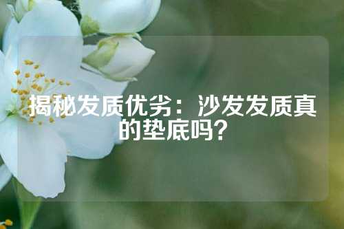 揭秘发质优劣：沙发发质真的垫底吗？