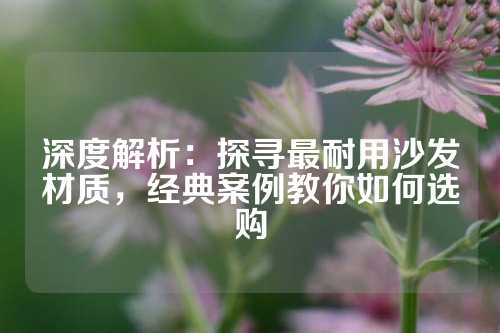 深度解析:探寻最耐用沙发材质,经典案例教你如何选购