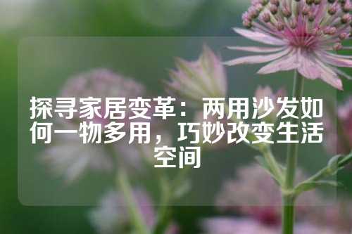 探寻家居变革：两用沙发如何一物多用，巧妙改变生活空间