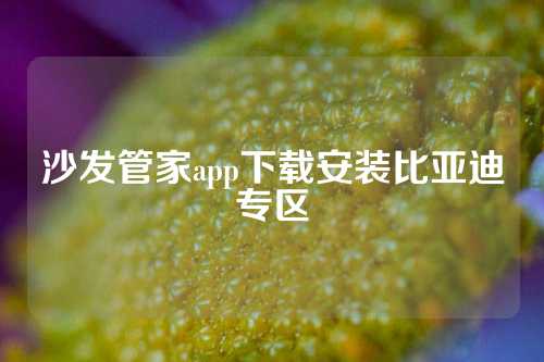 沙发管家app下载安装比亚迪专区