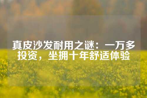 真皮沙发耐用之谜：一万多投资，坐拥十年舒适体验