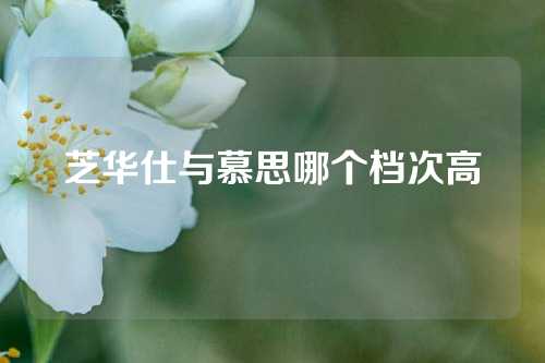 芝华仕与慕思哪个档次高