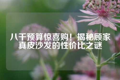 八千预算惊喜购！揭秘顾家真皮沙发的性价比之谜