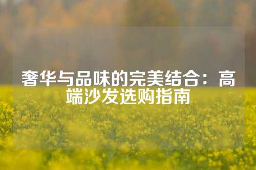 奢华与品味的完美结合：高端沙发选购指南