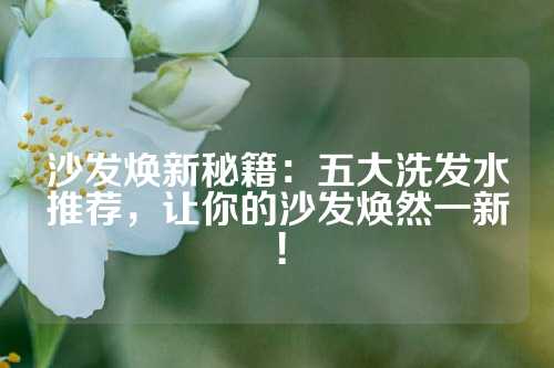 沙发焕新秘籍：五大洗发水推荐，让你的沙发焕然一新！