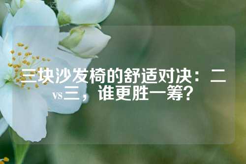 三块沙发椅的舒适对决：二vs三，谁更胜一筹？