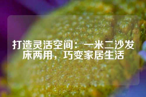 打造灵活空间：一米二沙发床两用，巧变家居生活