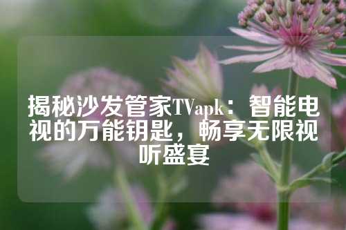 揭秘沙发管家TVapk：智能电视的万能钥匙，畅享无限视听盛宴