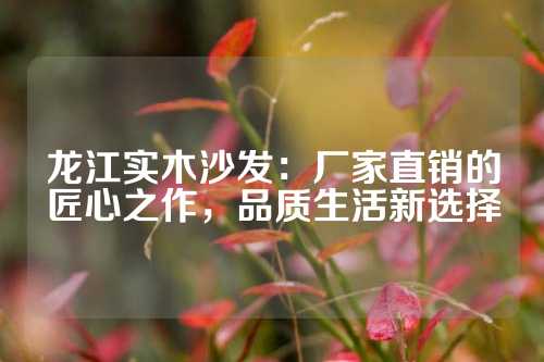 龙江实木沙发：厂家直销的匠心之作，品质生活新选择