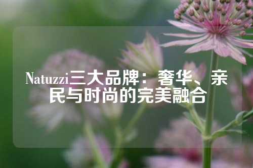 Natuzzi三大品牌：奢华、亲民与时尚的完美融合