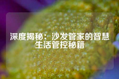 深度揭秘：沙发管家的智慧生活管控秘籍