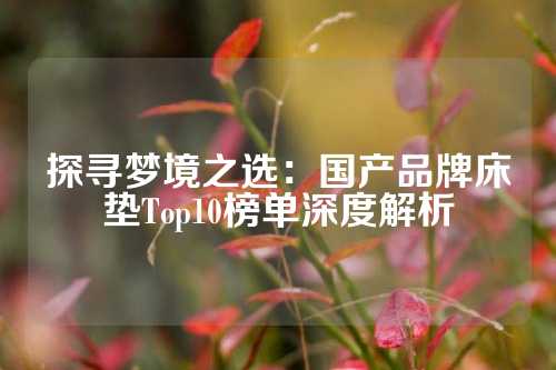 探寻梦境之选：国产品牌床垫Top10榜单深度解析