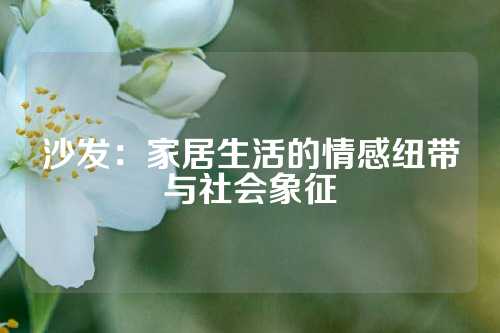 沙发：家居生活的情感纽带与社会象征