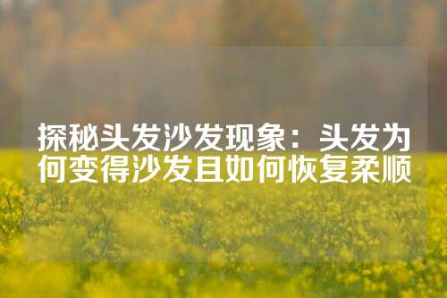 探秘头发沙发现象：头发为何变得沙发且如何恢复柔顺