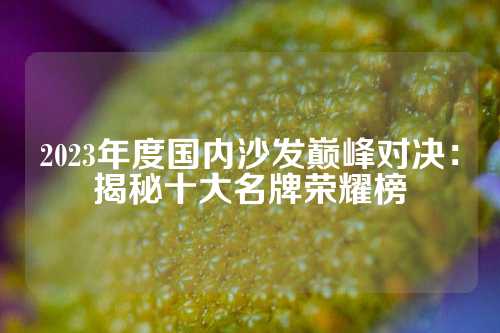 2023年度国内沙发巅峰对决：揭秘十大名牌荣耀榜