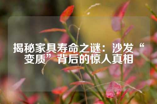揭秘家具寿命之谜：沙发“变质”背后的惊人真相