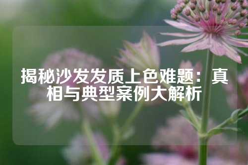 揭秘沙发发质上色难题：真相与典型案例大解析