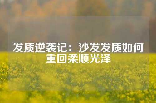 发质逆袭记：沙发发质如何重回柔顺光泽